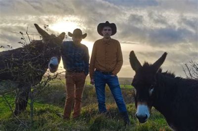 vignette les frères Wall et GAIN   chansons super drôles 